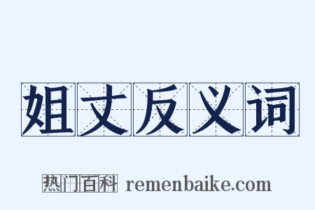 姐丈反义词是什么意思的图片